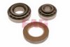 FAG 713 6603 50 Wheel Bearing Kit